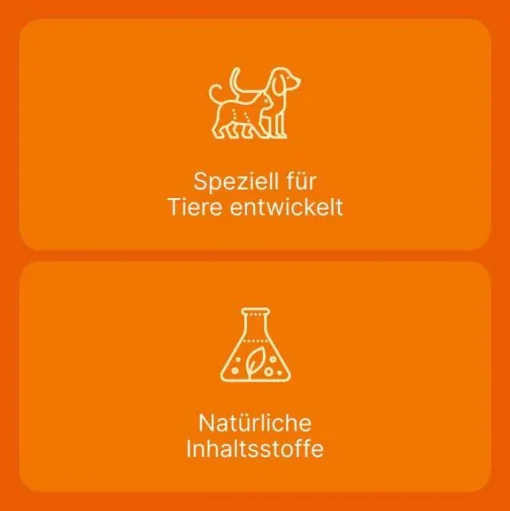 Heel Biologische Heilmittel Heel Gmbh-Coenzyme compositum® ad us. vet. Ampullen (2,2 ml), 10 St