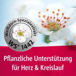 Crataegutt Stärkungsmittel-® 450 mg Herz-Kreislauf-Tabletten, 2x200 St