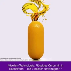 Curcumin-Loges arthro plus UC-II Kapseln, 60 St^Dr. Loges