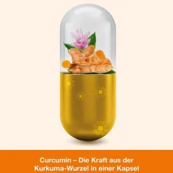 Curcumin-loges Kapseln, 60 St^Dr. Loges Clearance