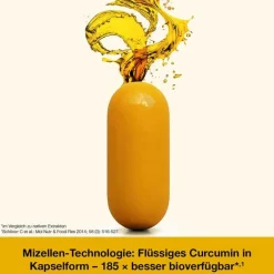 Curcumin-Loges plus Boswellia Kapseln, 120 St^Dr. Loges Online
