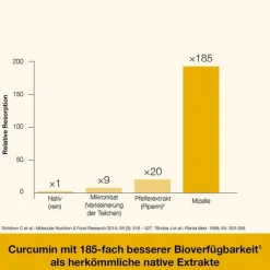 Curcumin-Loges plus Boswellia Kapseln, 120 St^Dr. Loges Online