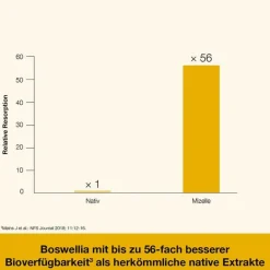 Curcumin-Loges plus Boswellia Kapseln, 120 St^Dr. Loges Online