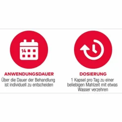 D3 + K2 Vit AL 1000 I.E. / 80 µg Kapseln, 90 St^Aliud Pharma Discount