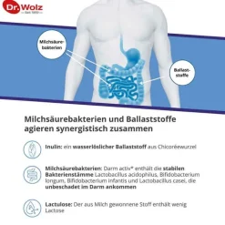 Darm Activ Pulver, 400 g^Dr. Wolz