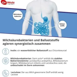 Darm Activ Pulver, 209 g^Dr. Wolz Sale