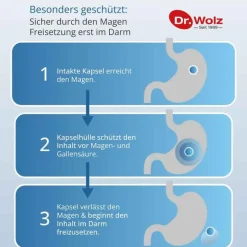 Dr. Wolz Bakterienkulturen-Darmflora plus select Kapseln, 40 St