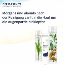 Hyalusome Augenpflege, 15 ml^Dermasence Discount
