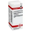 DHU Acidum nitricum C 12 Globuli, 10 g^