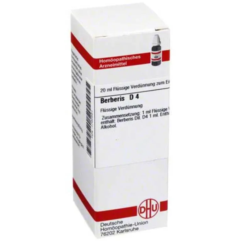Berberis D 4 Dilution, 20 ml^DHU Hot