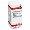 B|B-DHU Bismutum Subnitricum D 12 Gl, 10 g