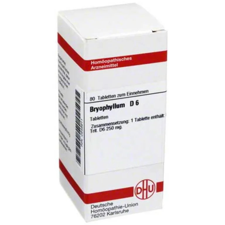 Bryophyllum D 6 Tabletten, 80 St^DHU Clearance