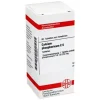 DHU Calcium phosphoricum C 6 Tabletten, 80 St^DHU Schüßler-Salze Outlet