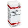 DHU Camphora C 30 Globuli, 10 g^ Outlet