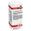 DHU Candida albicans D 30 Globuli, 10 g^ Discount
