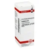 DHU Cantharis D 6 Dilution, 20 ml- C