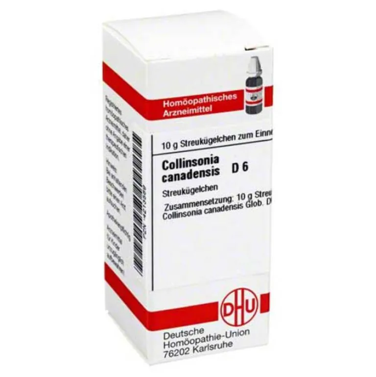 DHU Collinsonia canadensis D 6 G, 10 g- C