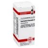 DHU Equisetum hiemale D 12 Globuli, 10 g- E|E
