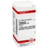 DHU Eupatorium perfoliatum D 6 Tabletten, 80 St- E