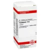 F-DHU Fagopyrum D 6 Tabletten, 80 St