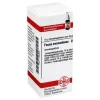 DHU Fucus vesiculosus D 3 Globuli, 10 g- F|F