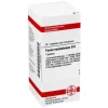 DHU Fucus vesiculosus D 6 Tabletten, 80 St^ Online