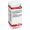 DHU Fucus vesiculosus D 4 Globuli, 10 g- F|F