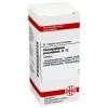 DHU Harpagophytum procumbens D 12 Tabletten, 80 St^ Outlet