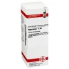 DHU Hypericum C 30 Dilution, 20 ml^ Online