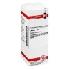 DHU L-Ledum D 4 Dilution, 20 ml