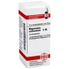 DHU Magnesium carbonicum C 30 Gl, 10 g- M|M