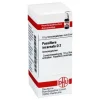 DHU Passiflora incarnata D 2 Globuli, 10 g- P|P