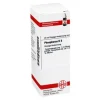 DHU Phosphorus D 6 Dilution, 20 ml- P