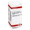 DHU Plumbum aceticum D 6 Tabletten, 80 St- P
