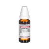 DHU Ranunculus Bulbosus D 6 Dilution, 20 ml- Q-R
