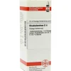 Rhododendron D 4 Dilution, 20 ml^DHU Best