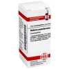 DHU Robinia pseudacacia D 4 Globuli, 10 g- Q-R|Q-R