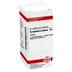 DHU Scrophularia nodosa D 6 Tabletten, 80 St^ Sale