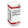 DHU Secale cornutum D 30 Globuli, 10 g- S|S