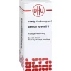 DHU Senecio Aureus D 6 Dilution, 20 ml- S