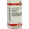 DHU Spigelia C 12 Globuli, 10 g^ Hot