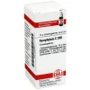 DHU S|S-Symphytum C 200 Globuli, 10 g