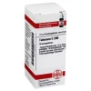 DHU Tabacum C 200 Globuli, 10 g- T|T