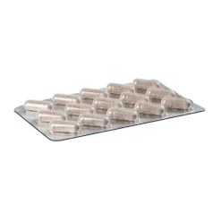 Diatruw Zimtextraktkapseln, 60 St- Zimt