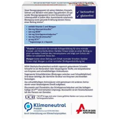 Doppelherz MSM Glucosamin system Kapseln, 60 St- Msm Schwefel