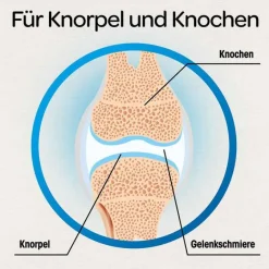 Knorpel & Knochen Tabletten, 120 St^Dr. Böhm Best
