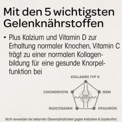 Knorpel & Knochen Tabletten, 120 St^Dr. Böhm Best