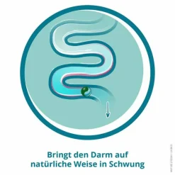 ® PLUS Abführmittel bei Verstopfung, 10 St^Dulcosoft Hot
