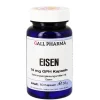 Hecht Pharma Eisenversorgung-Eisen 14 mg GPH Kapseln, 60 St