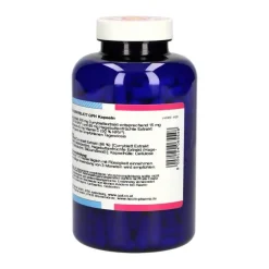 Hecht Pharma Eisen-Curryblatt GPH Kapseln, 360 St- Vitamin C (Ascorbinsäure)